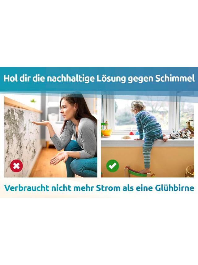 Schimmeldry-Set