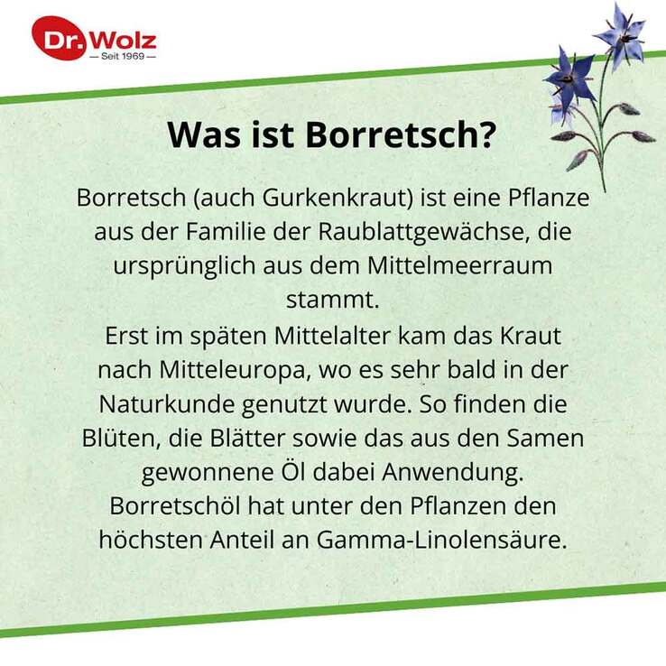 Borretschöl Kapseln Dr. Wolz, 60 St