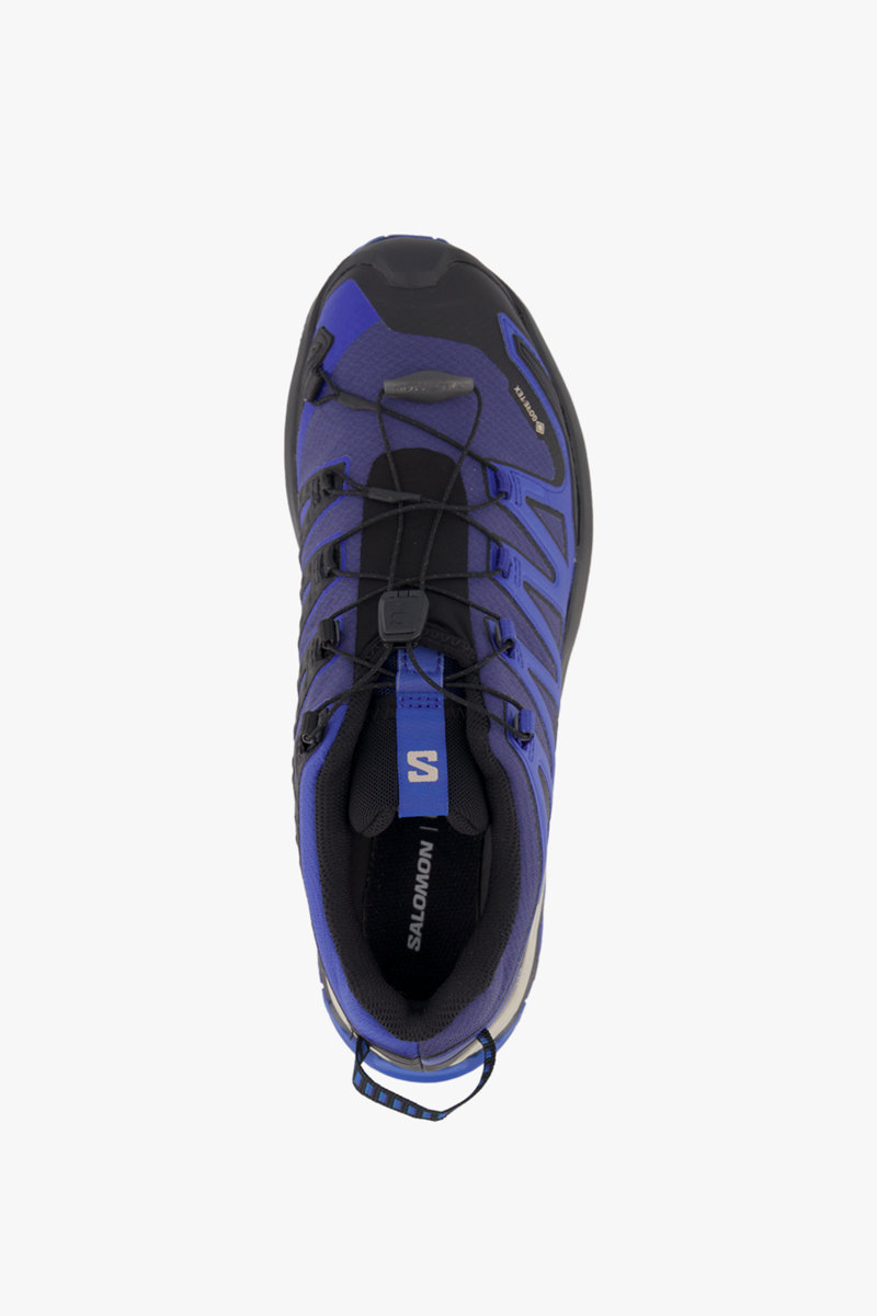 Salomon XA Pro 3D V9 Gore-Tex® Herren Trekkingschuh