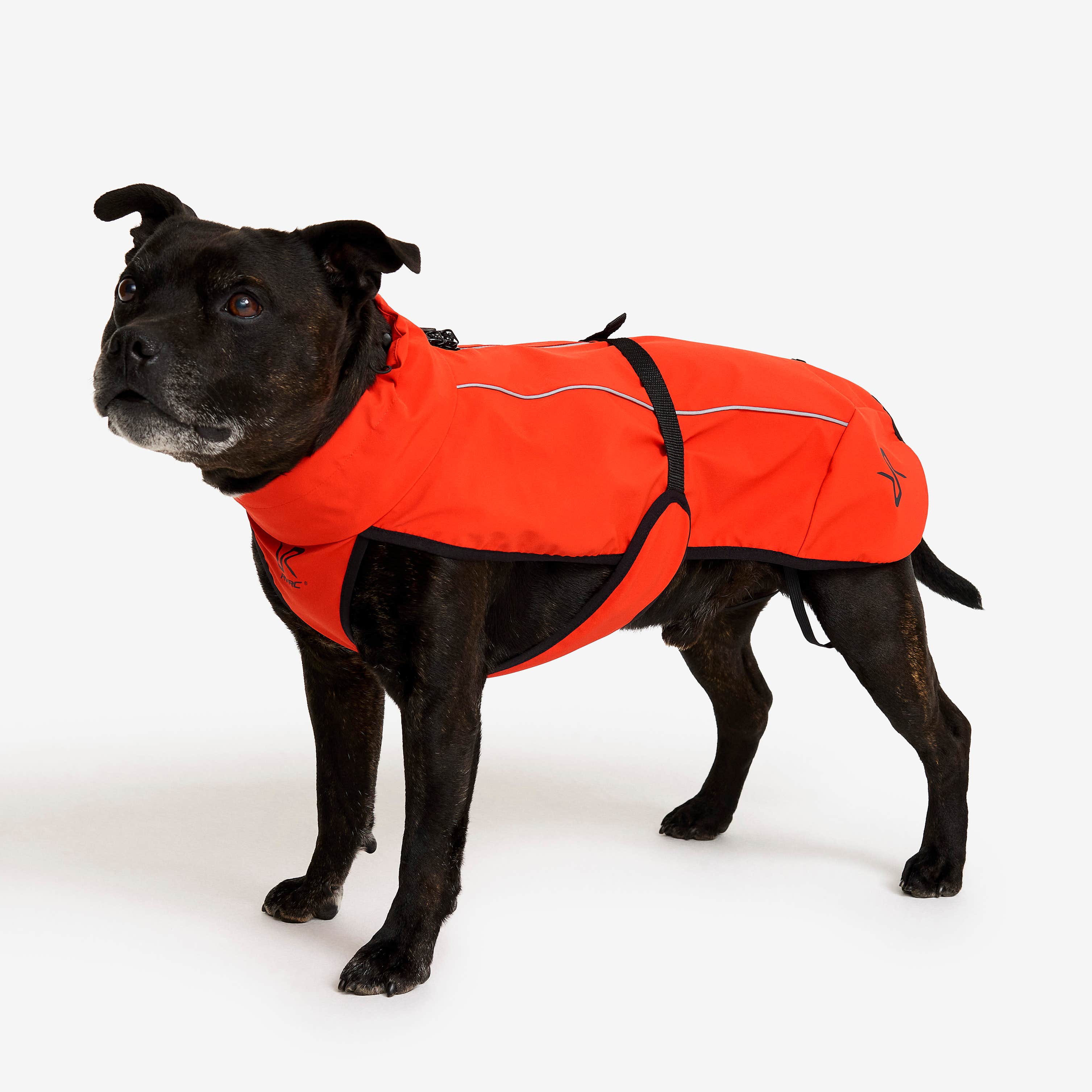 Cyclone Dog Jacket Hund Pureed Pumpkin