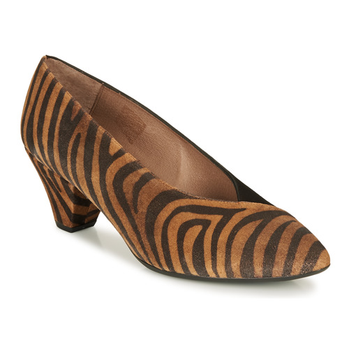 Wonders - I7601-ZEBRATO-CUERO-ANTE-NEGRO - Marron