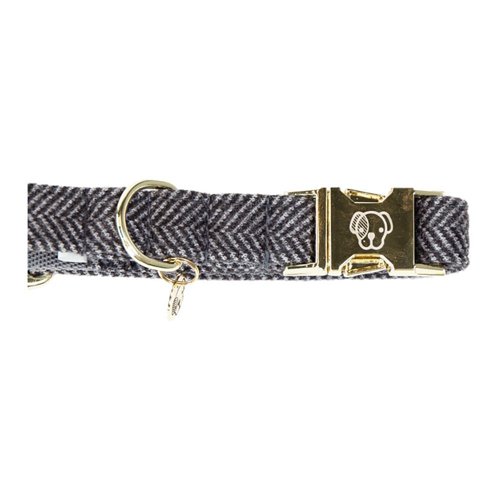 Kentucky LAINE -  Collier pour chien gris