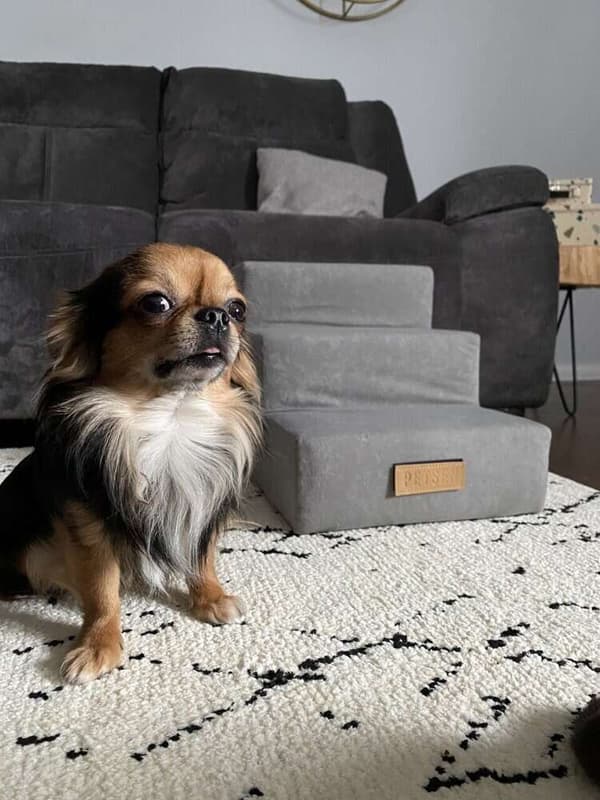 Hunde/katttrapp 4 trinn - grønn