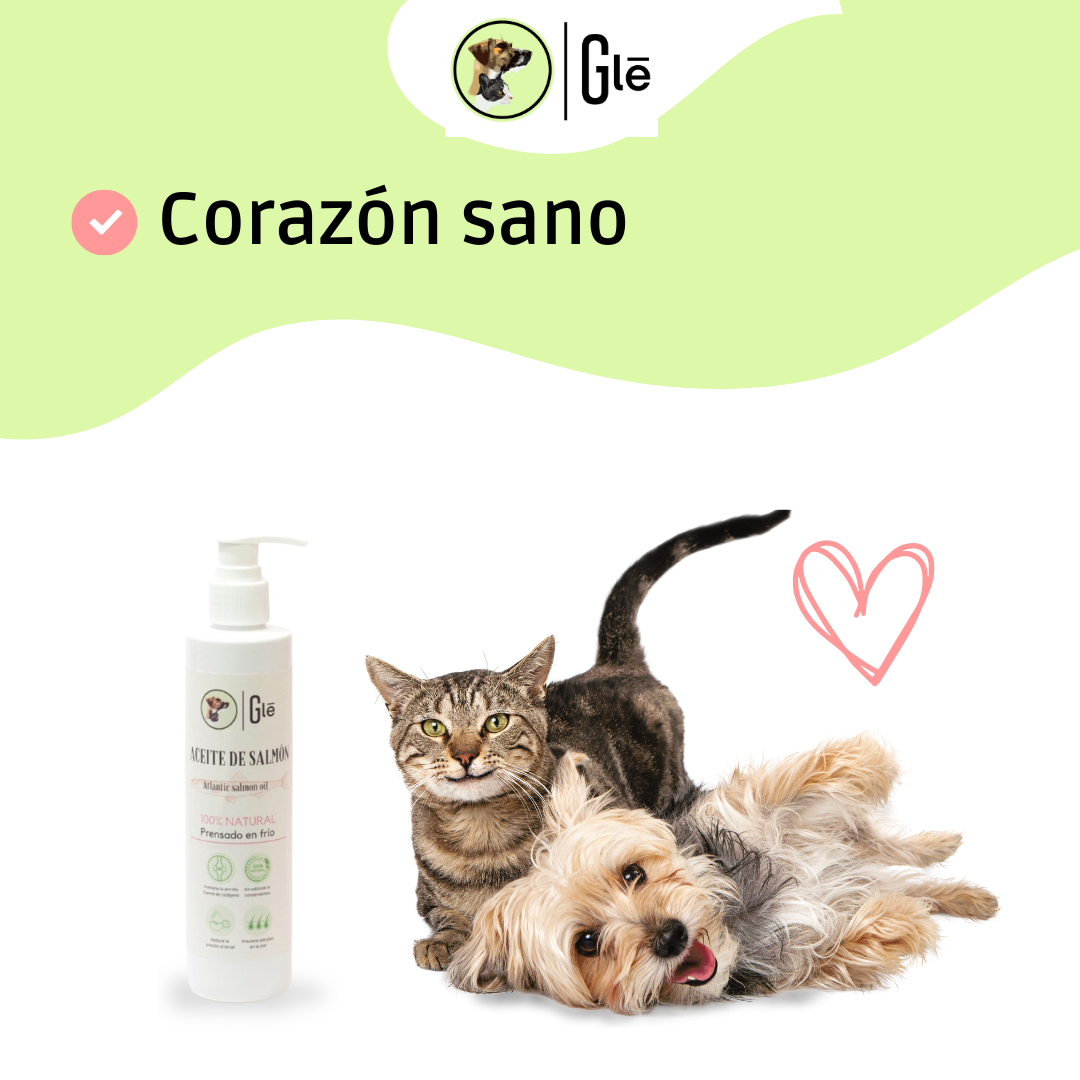 ÓLEO DE SALMÃO PRENSADO A FRIO GEL PETS, EMBALAGEM OPACO