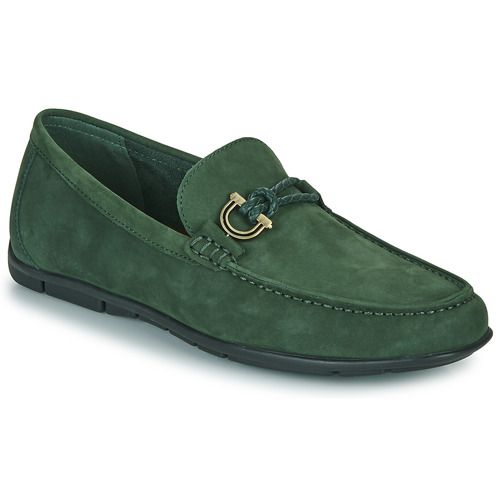 Aldo - LEANGELO - Vert
