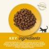 Applaws - Kattefoder Voksen - Kylling - 7,5kg