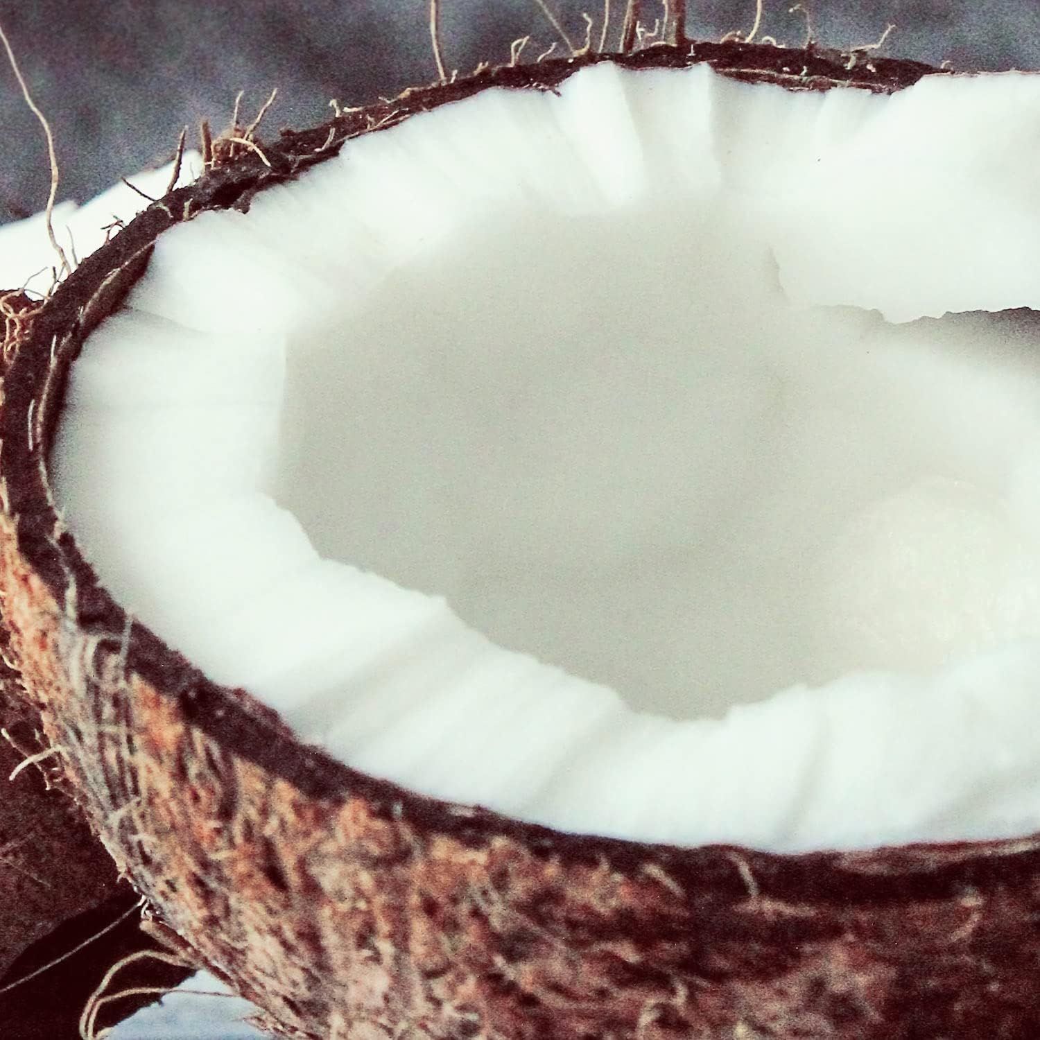 Naissance Kokosöl Fraktioniert