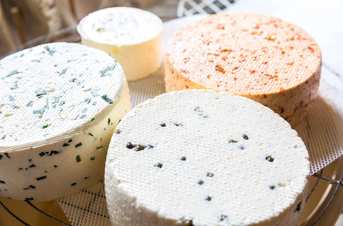 Käse selber machen Buch a. Erlbach