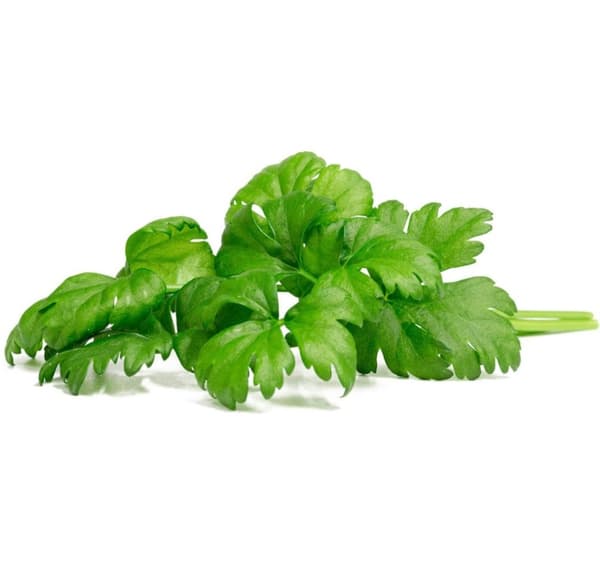 Click & Grow Smart Garden Refill Bladselleri 3 stk