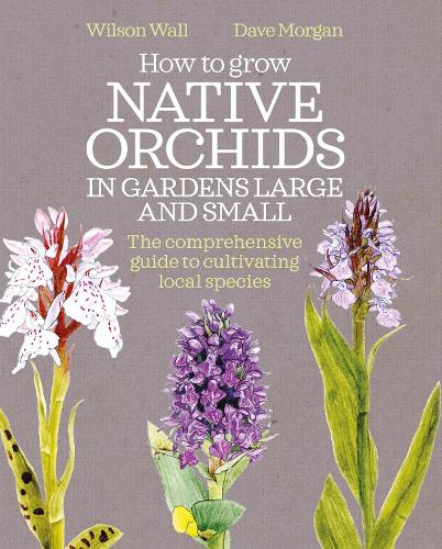 How to Grow Native Orchids in Gardens Large and Small: the comprehensive guide to cultivating local species (Hardback)