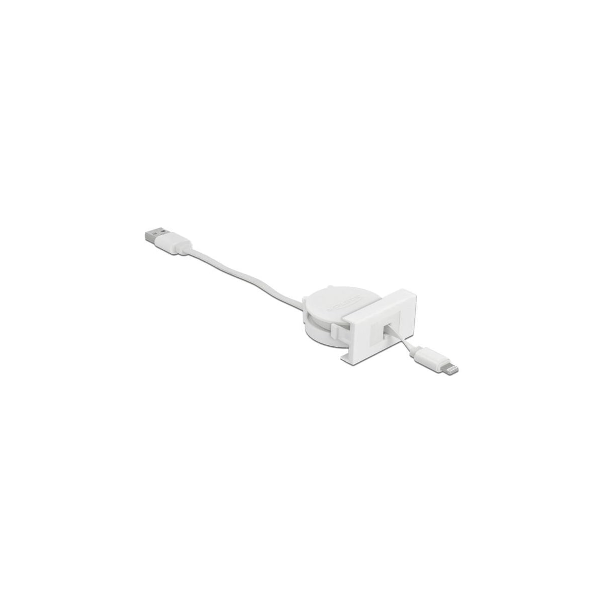 Delock Easy 45-modul USB 2.0 Uttrekkbar kabel USB Type-A til 8-pins Li