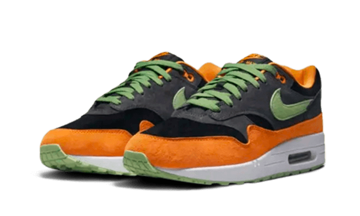 Nike Air Max 1 PRM Duck Anthracite - 48h Delivery
