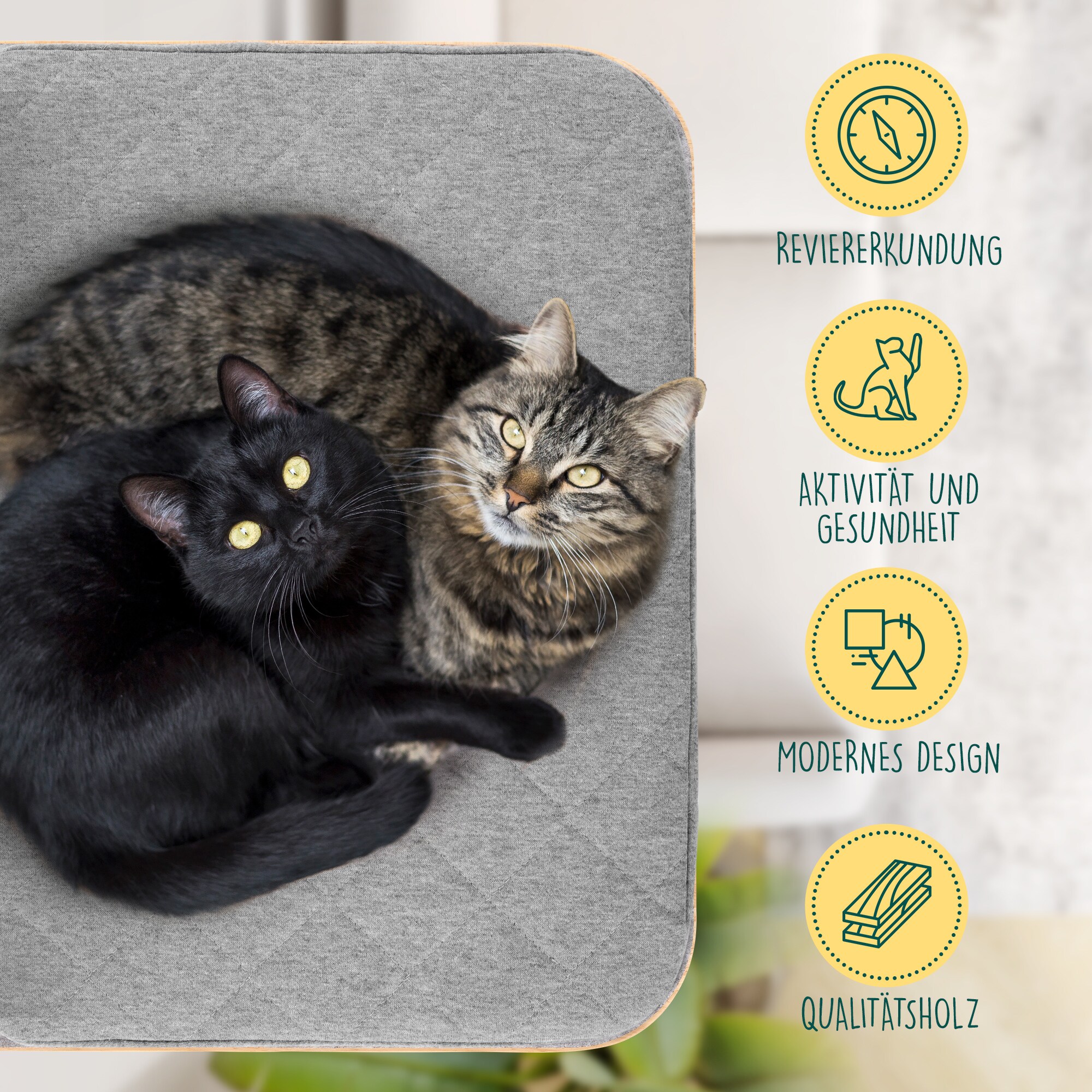 HAPPYPET Katzen Kletterwand Set 3-teilig für große Katzen– Wandkratzbaum mit Katzenbett, inkl. 4 x Katzenstufen Luxus Katzenwand Stabil, Katzenregal aus Massivholz, belastbar bis 45 Kg |2 Stufen M Kletterwand Set 2 M