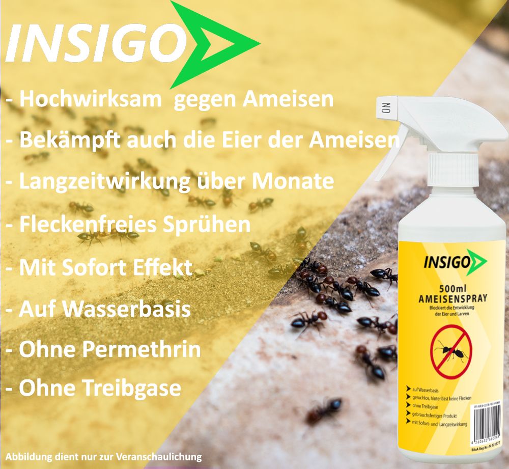 INSIGO Ameisenspray