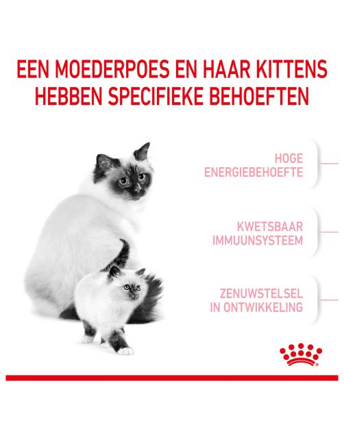 Royal Canin Mother & Babycat - Kitten-Kattenvoer
