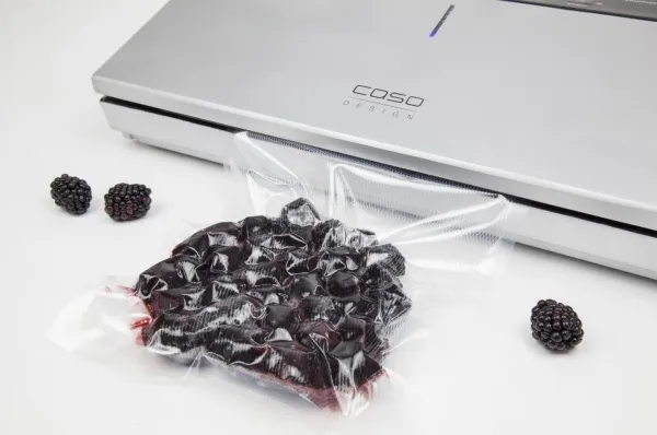 Caso | Bar Vacuum Sealer | GourmetVAC 480 | Effekt 160 W | Sølv