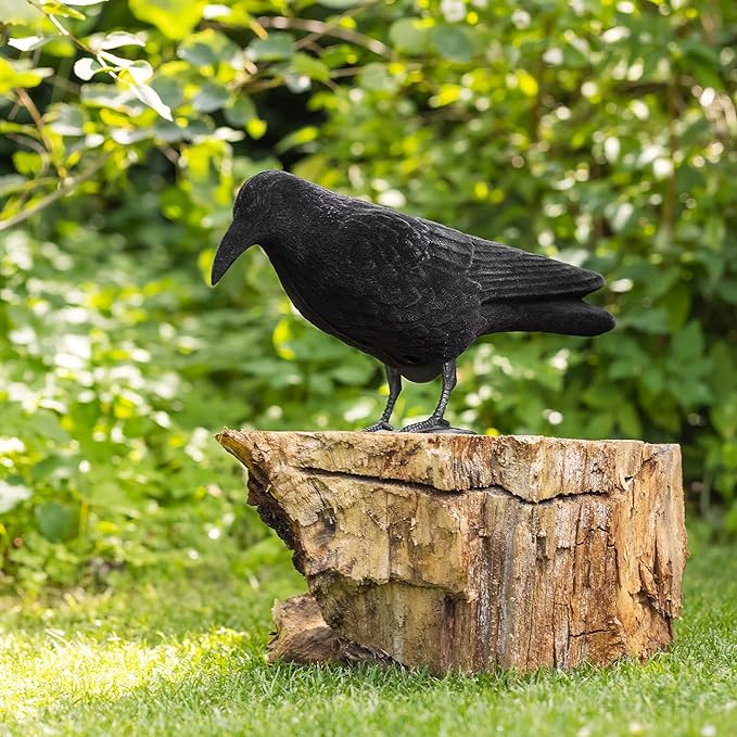 (38x12cm) Vogel Schreck Rabe Taubenabwehr Krähe Vogelscheuche Garten Pflanzenschutz - Schwarz