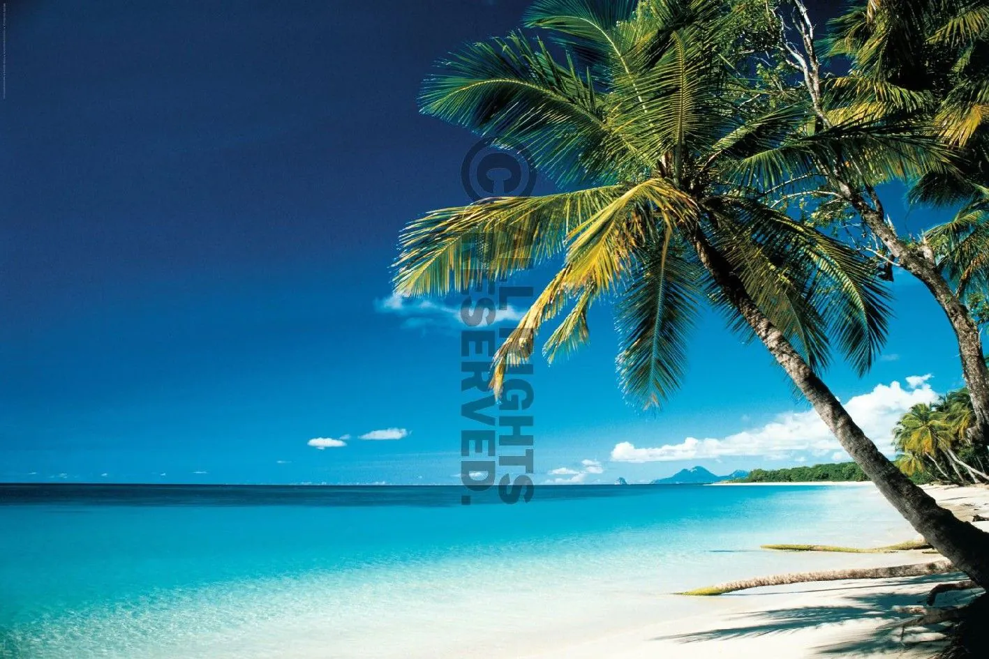 Poster - Sonniger Strand, 61 x 91 cm
