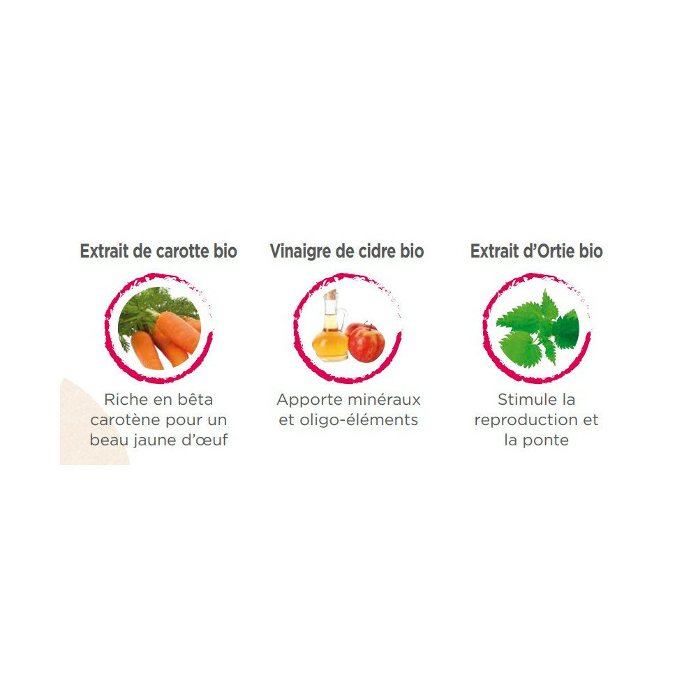 Natur' ponte, aliment complémentaire favorise la ponte pour poules 250 ml.
