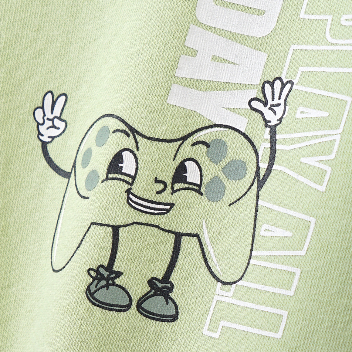 Famy Jungen Sweatshirt mit lustigem Print hellgrün