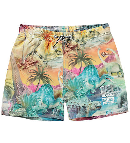 Molo Badeshorts - UV50+ - Niko - Dino Paradies