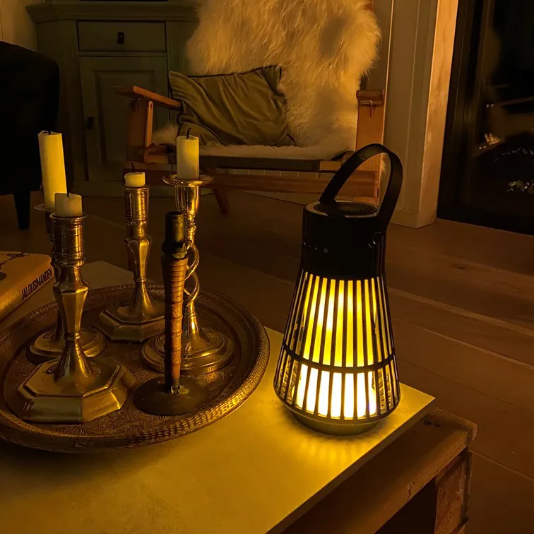 Soundliving Flame Speaker Højtaler