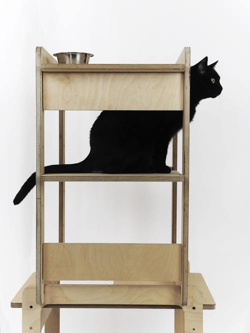 Torre para Gatos Caudania - Te vejo lá em cima? - Marrom
