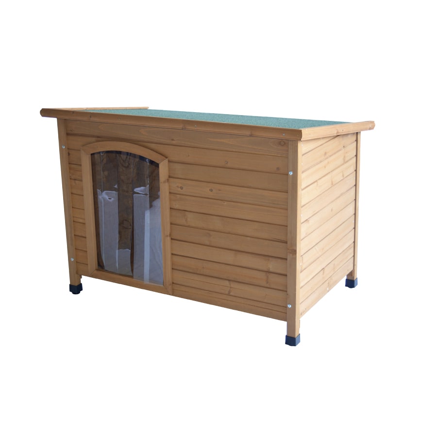 Canil TK-Pet Tindaya com porta