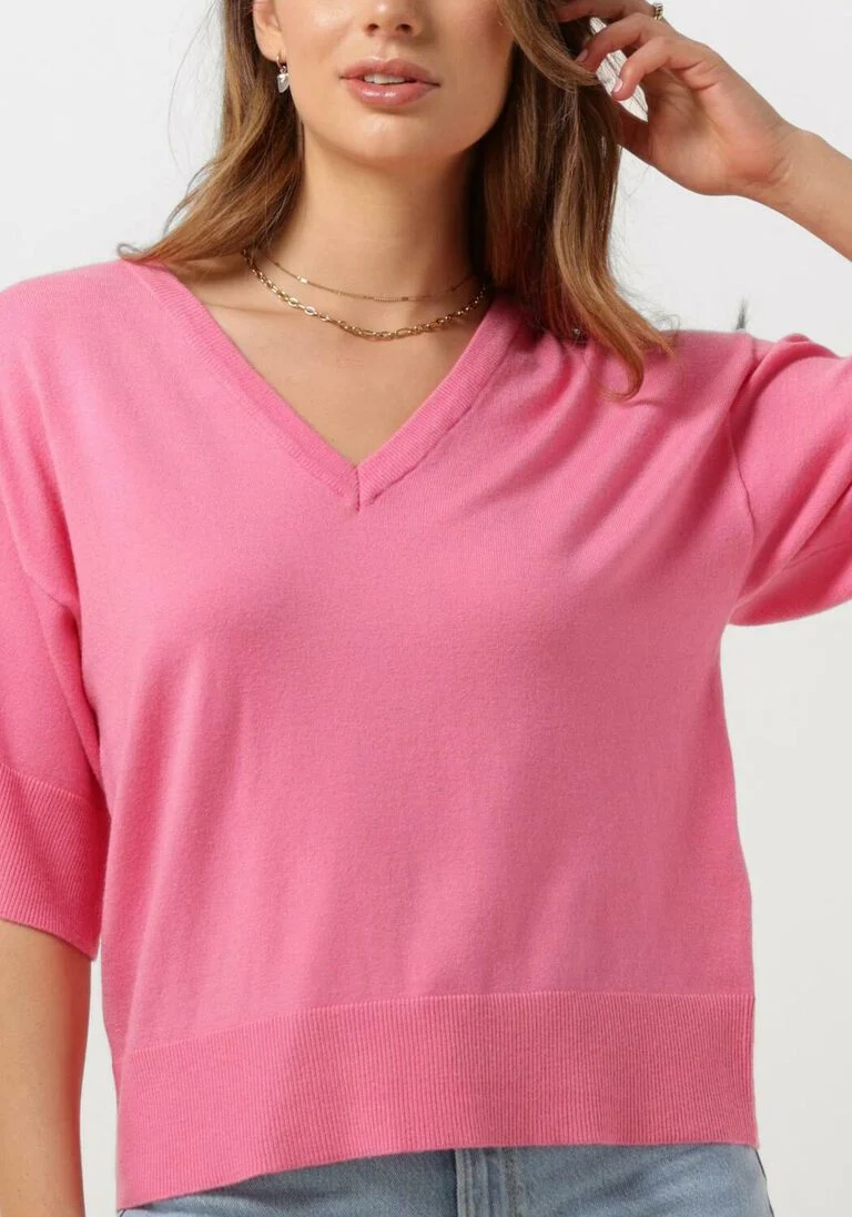 MSCH COPENHAGEN roze msch copenhagen top mscheslina rachelle 2/4 v neck pullover