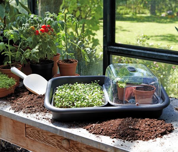elho Green Basics Anzuchtunterlage, ca.