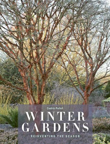 Winter Gardens: Reinventing the Season (Hardback)