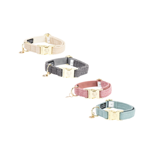 Kentucky Dogwear Hondenhalsband Wool