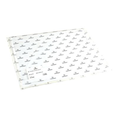 Canson Bristol - Papier à dessin - feuille 50 x 65 cm - 250 g/m² - blanc