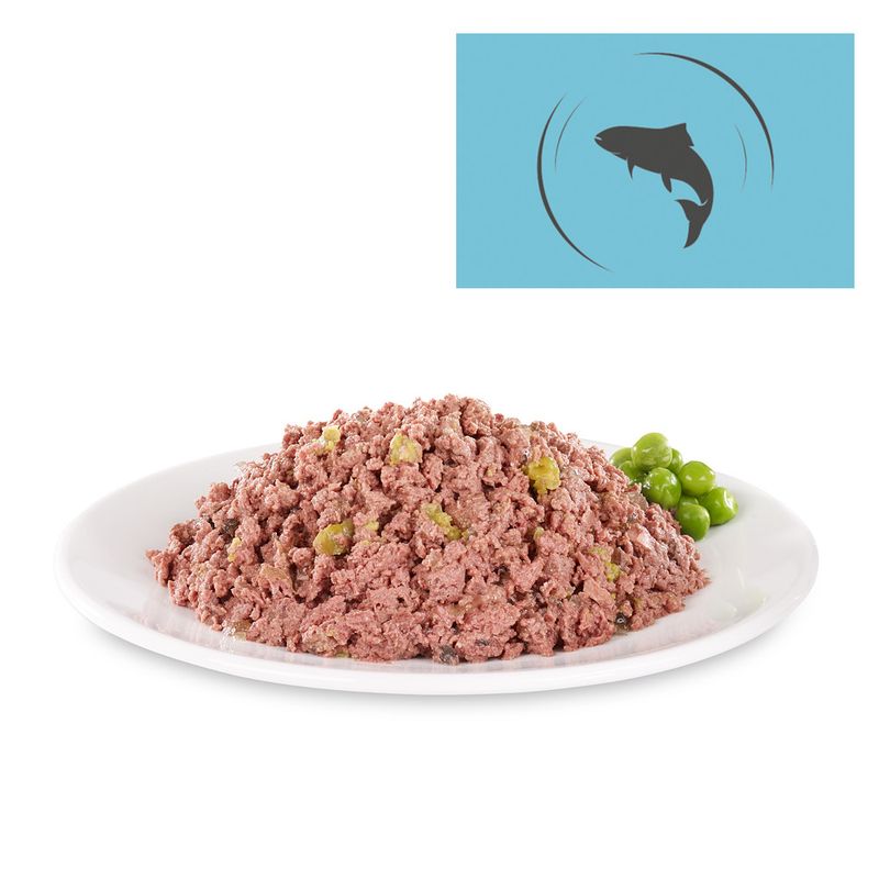 Offre d'essai Briantos Delicious Paté pour chien ✓ pas cher