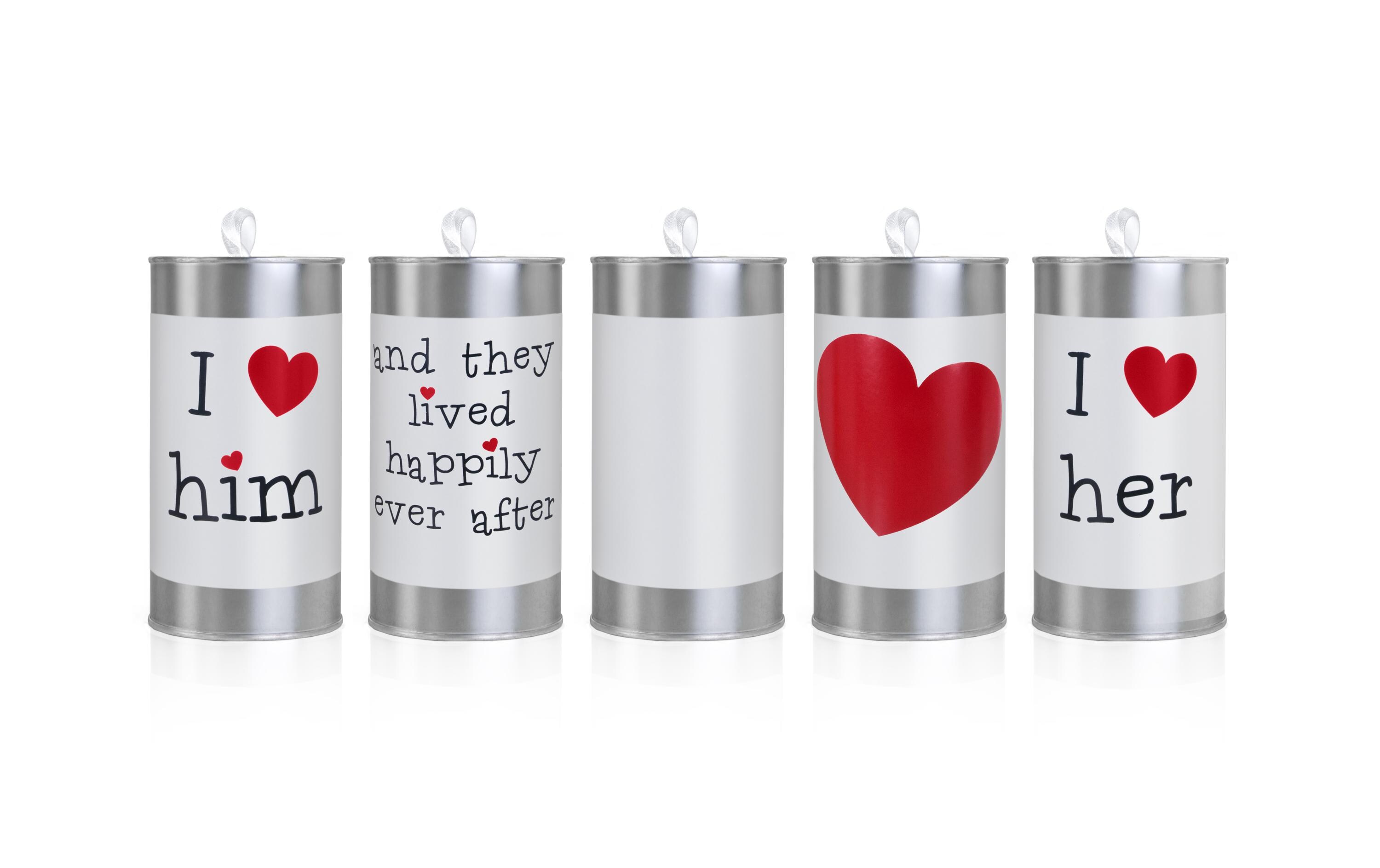Hochzeitsaccessoire Autodeko Blechdose Silber/Weiss/RotDosen als Autoschmuck für die Hochzeit