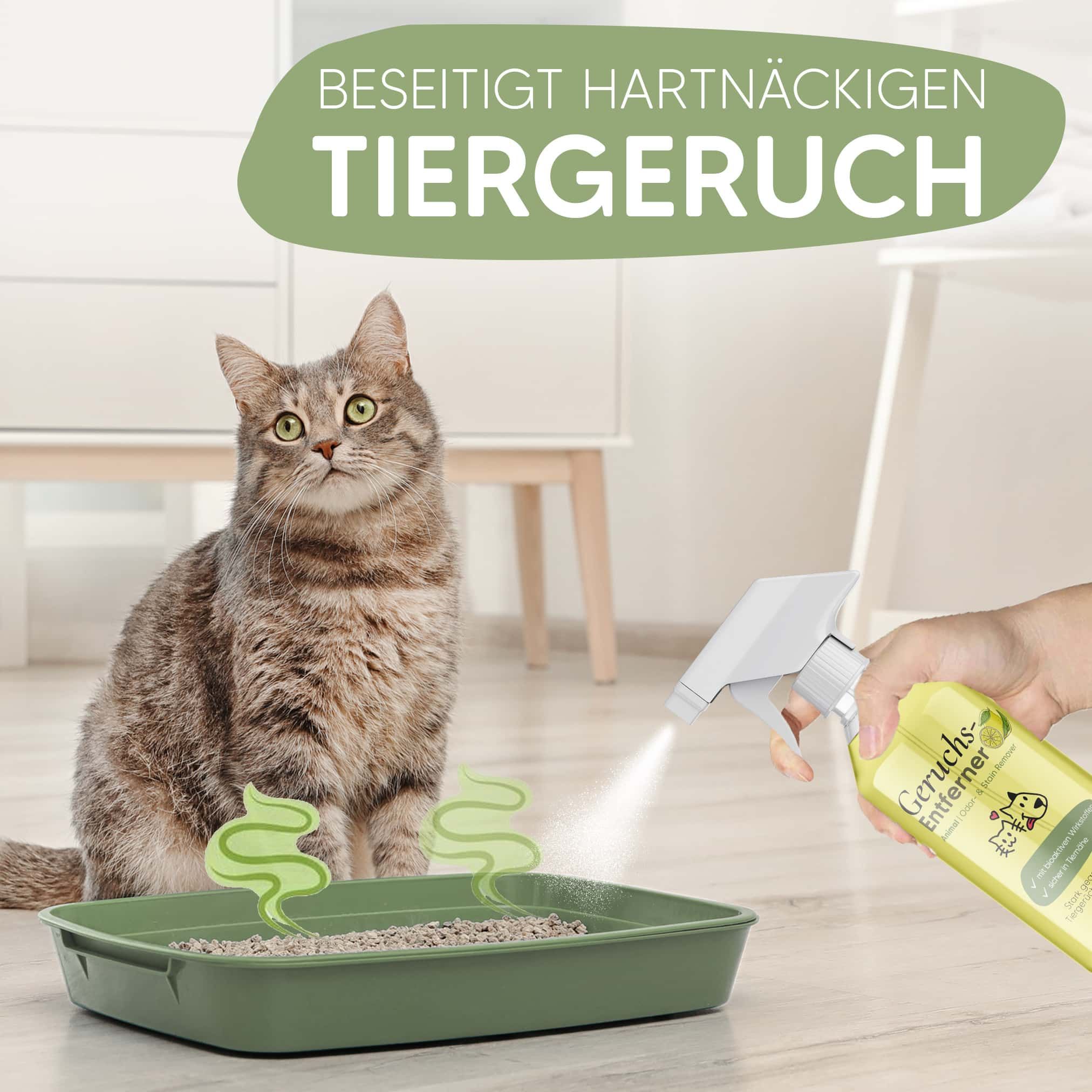 Pawlie's Geruchsneutralisierer & Enyzmreiniger Spray