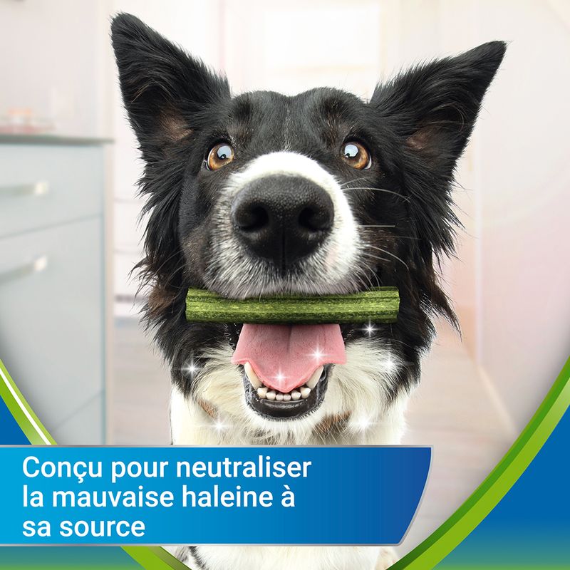 PURINA Dentalife ActivFresh Bâtonnets à mâcher pour grand chien
