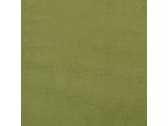 Fauteuil à oreilles avec tabouret vert clair velours