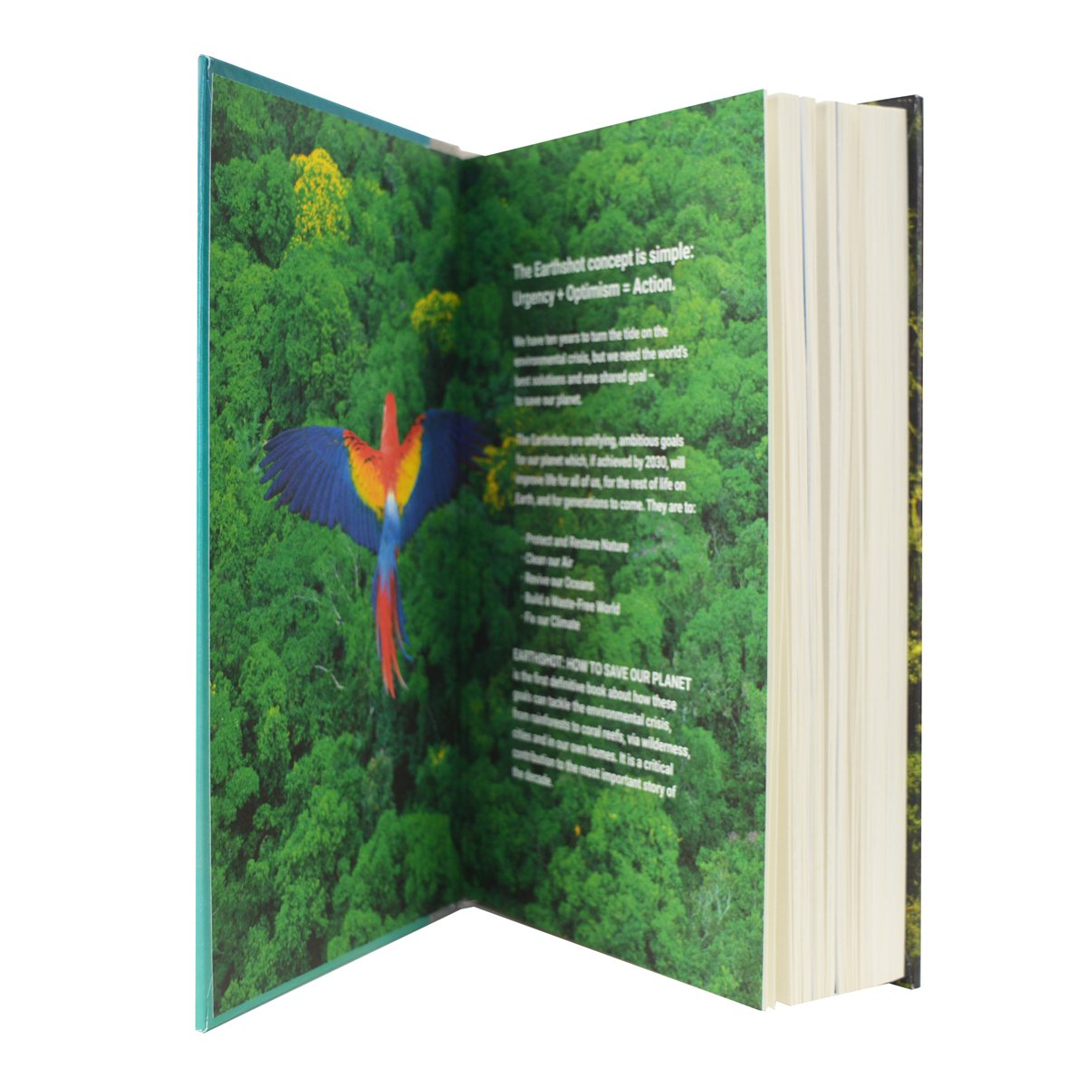 Earthshot: How to Save Our Planet (Hardback)