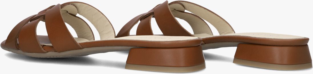 bruine lina locchi slippers led knoop slipper