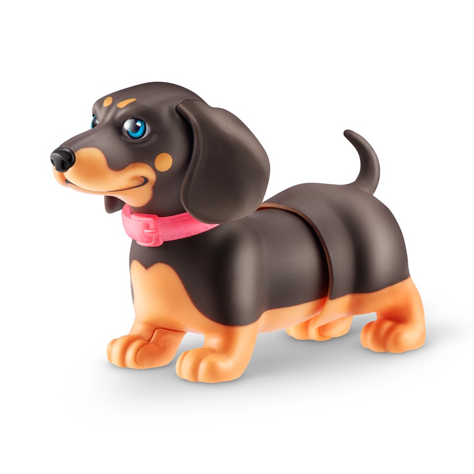 Pets Alive - Booty Shakin’ Pups S1
