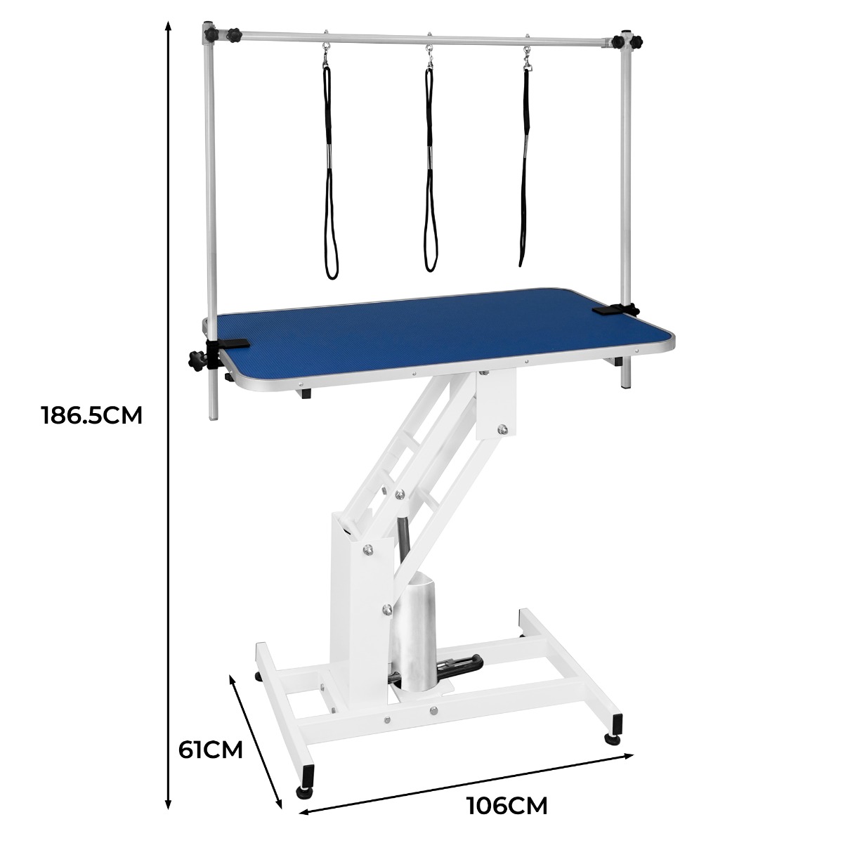 Mesa sanitária hidráulica branca - superfície azul