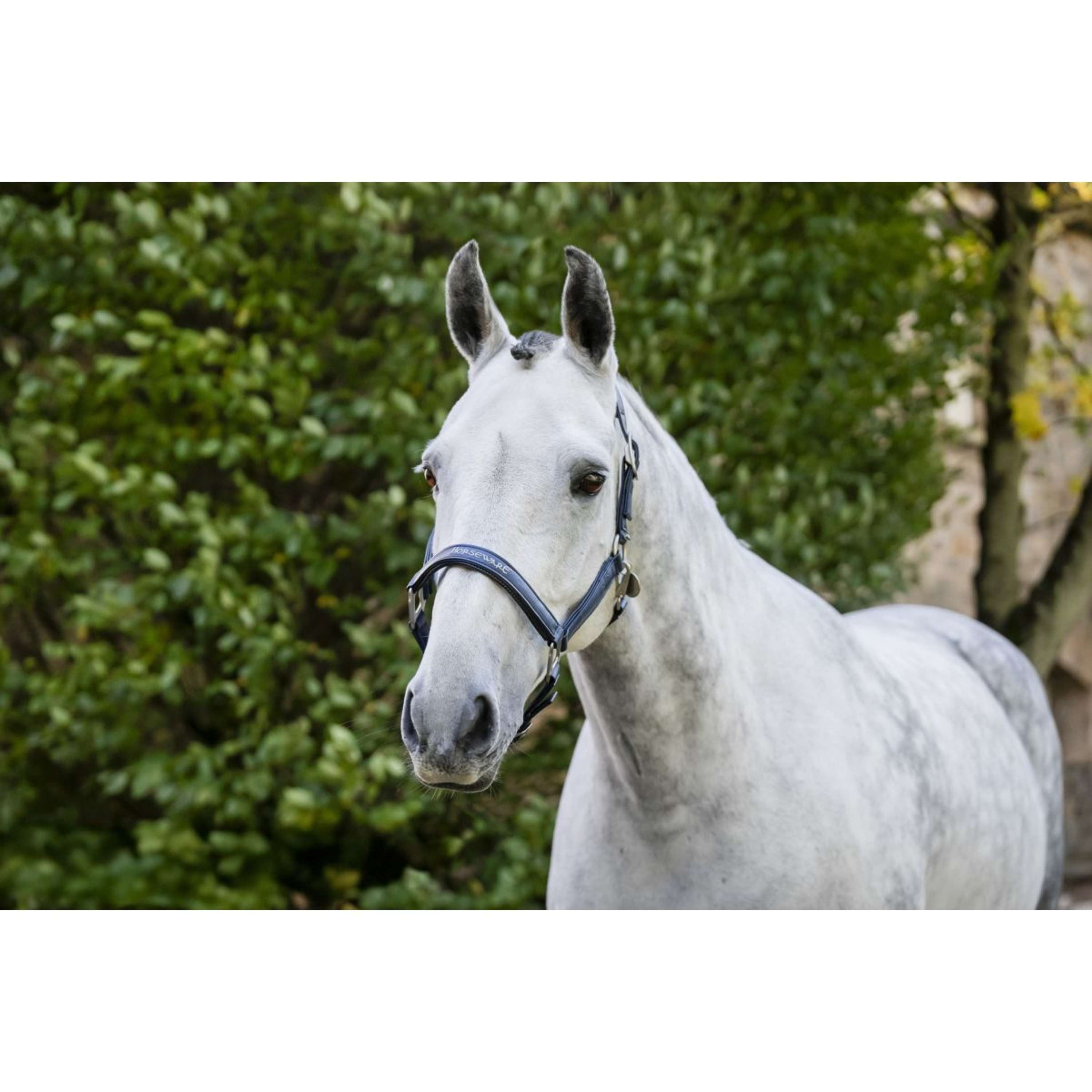 Horseware Halster Grooming Navy