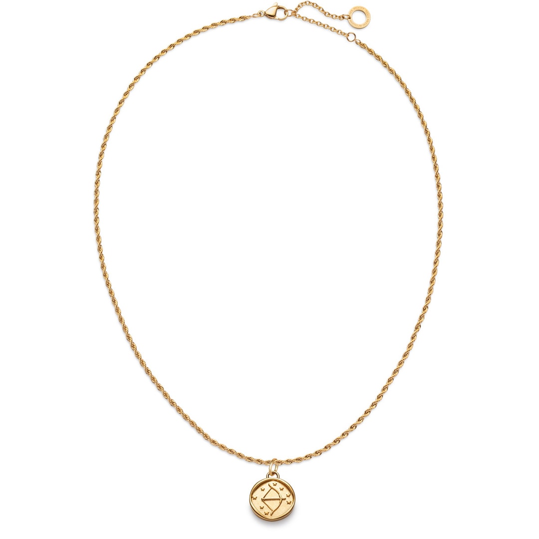 Paul Hewitt Sagittarius Charm Goldig
