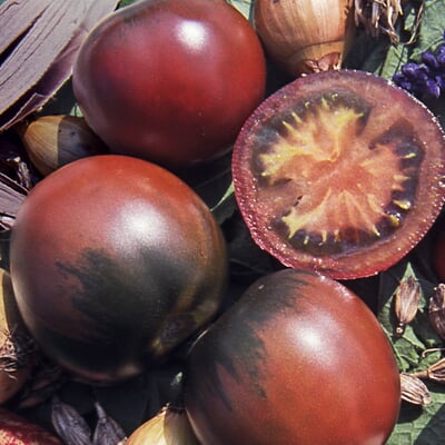 Gemüsesamen Tomaten in allen Farben