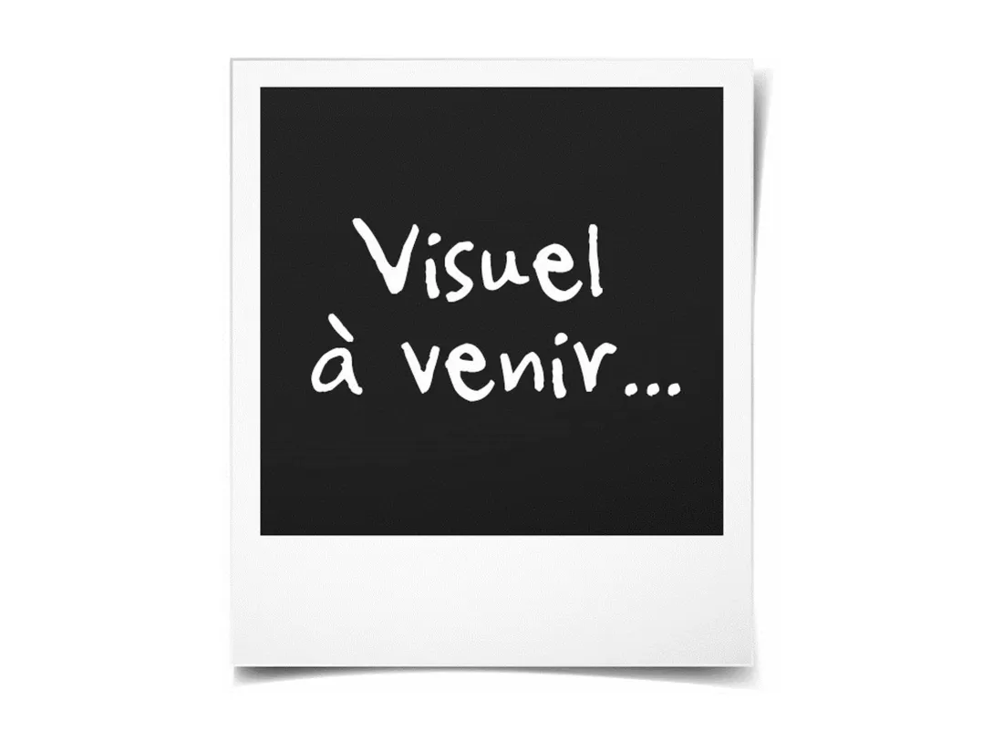 Table extensible 6-8 personnes - Rectangulaire - Panneaux de particules - Mantova - Blanc et alu - L 160- 200 x P90 x H75 cm