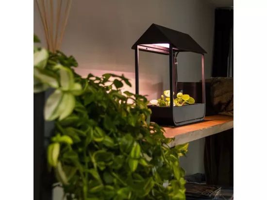 Serre avec lampe de croissance design