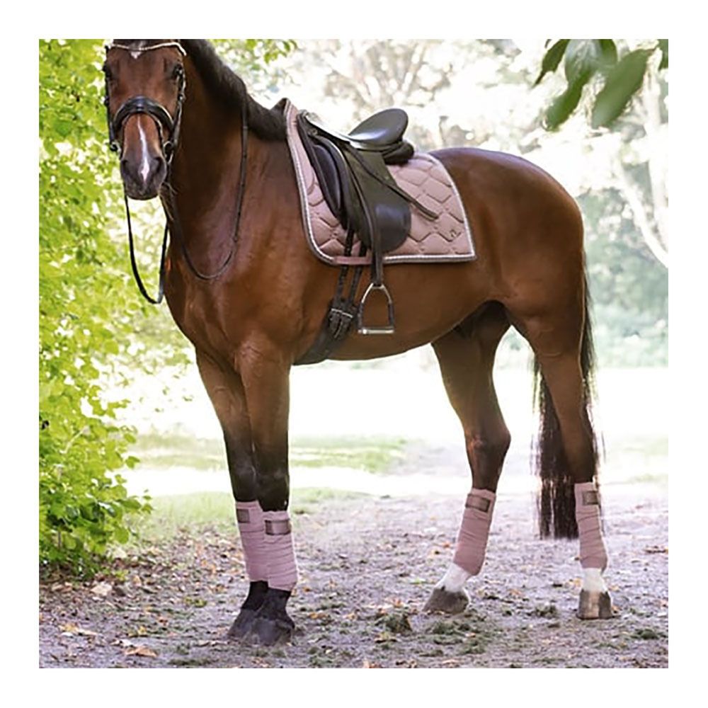 PS of Sweden SIGNATURE - Bandes de polo x4 dusty mauve