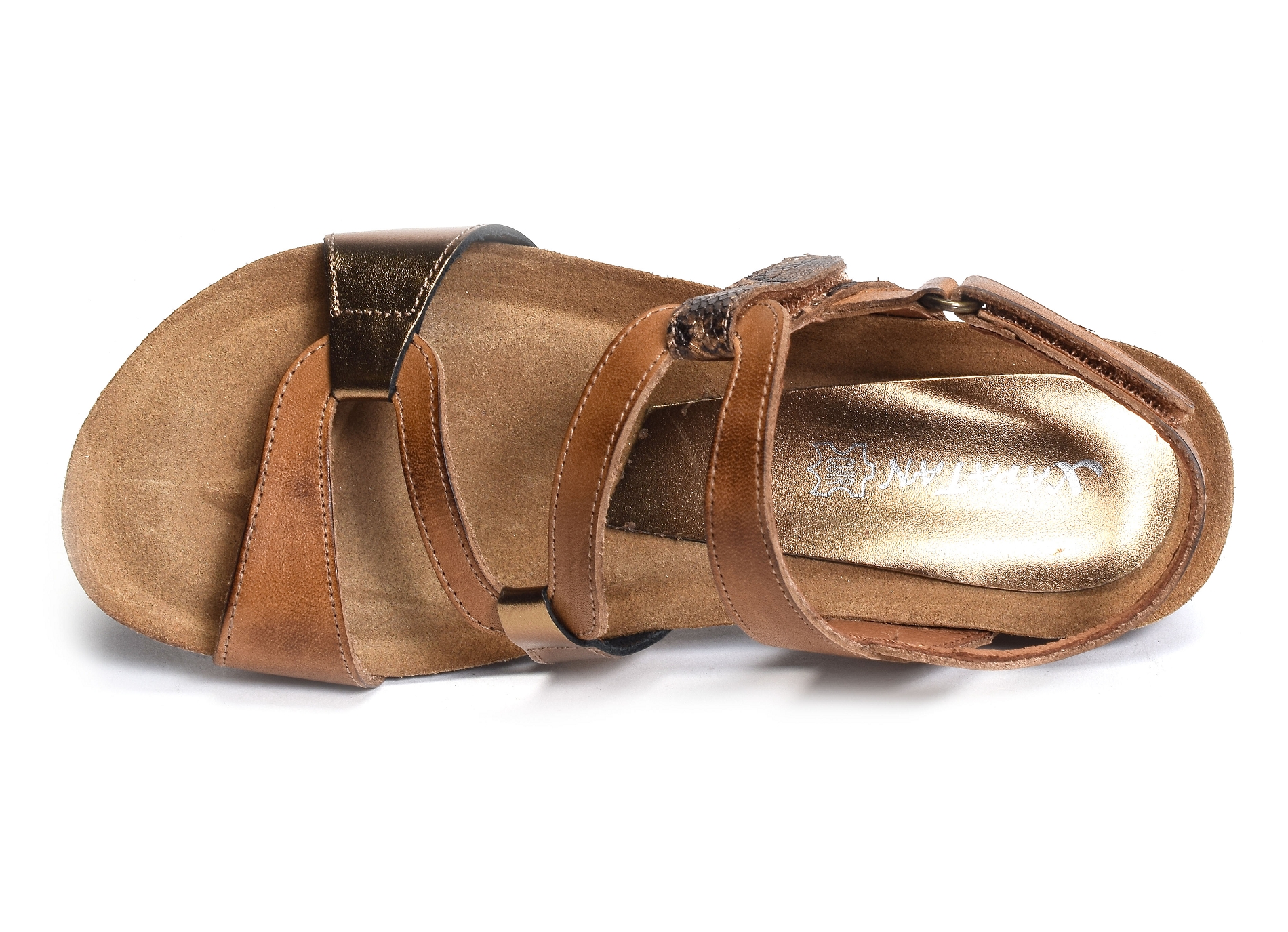 2164 marron or