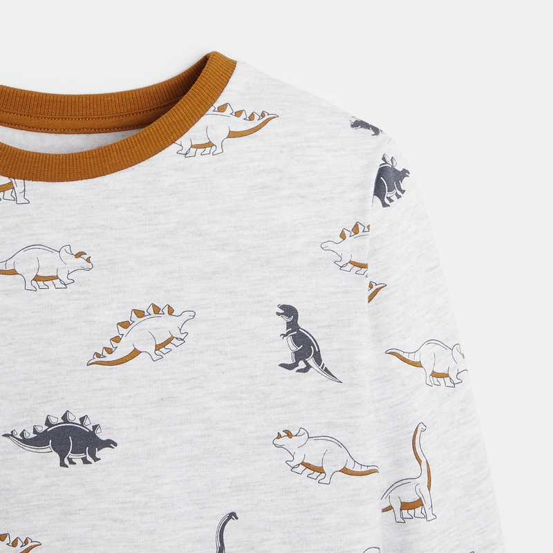 Pyjama 2 pièces en jersey motifs dinosaures gris garçon